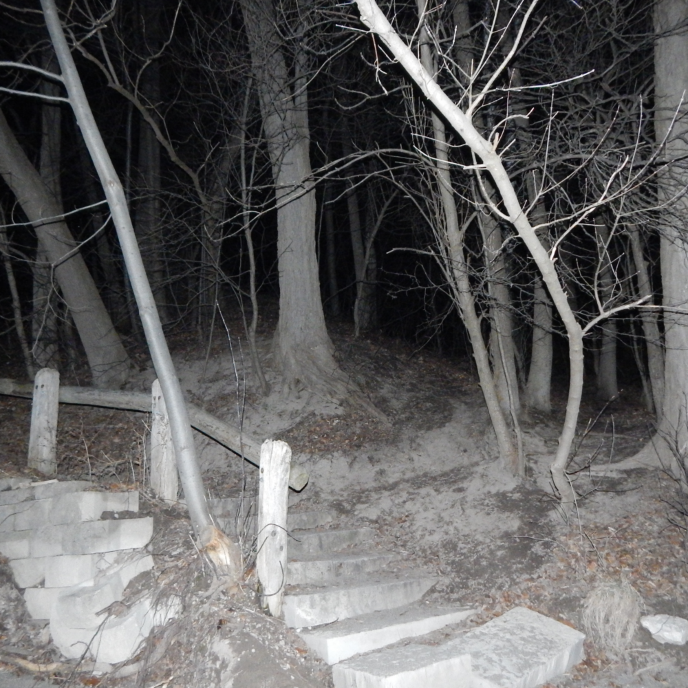 A photograph of stone stairs in the middle of a forest. The trees have no leaves, and their branches twist over the stairs. The only light comes from the camera’s flash.