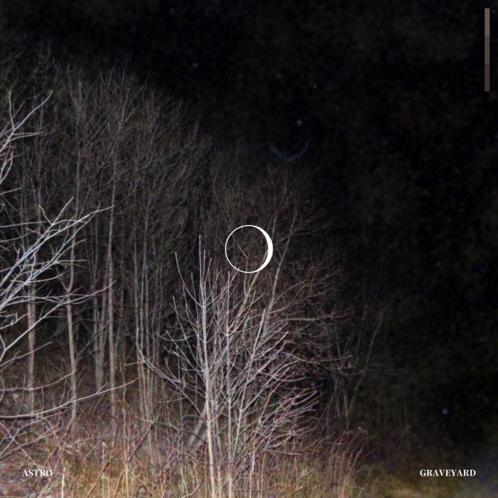 A grainy photograph of trees without leaves at night, lit up by the camera’s flash. A graphic of a waxing crescent moon is in the center.