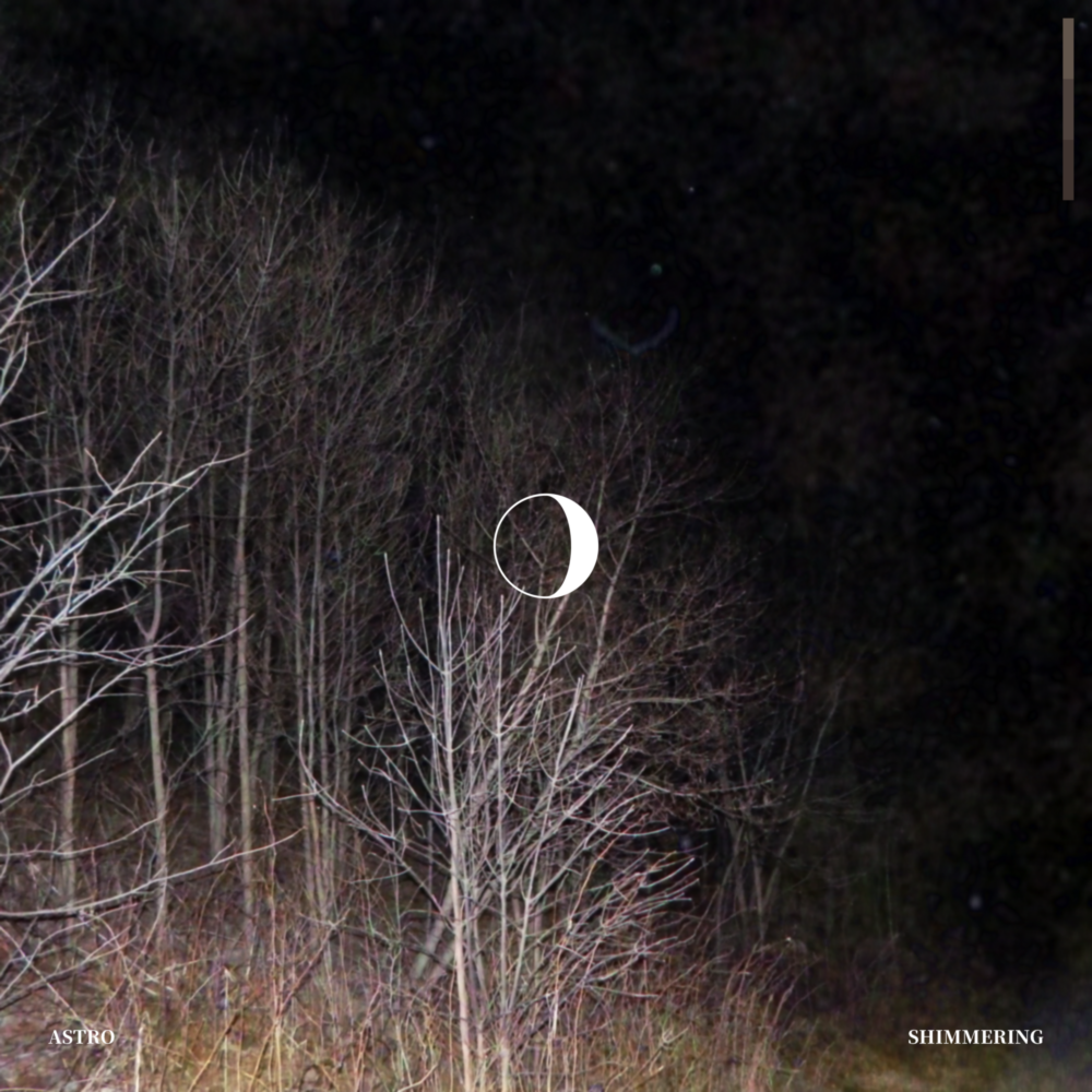 A grainy photograph of trees without leaves at night, lit up by the camera’s flash. A graphic of a waxing crescent moon is in the center.