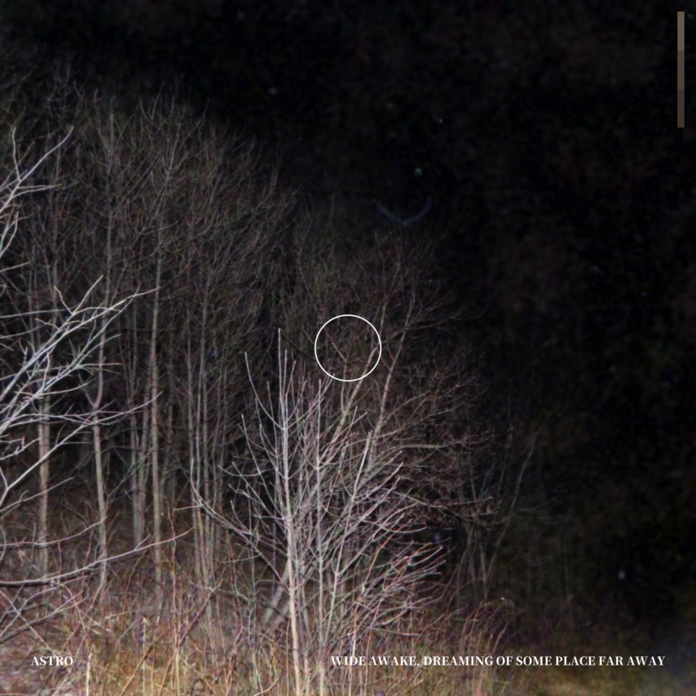 A grainy photograph of trees without leaves at night, lit up by the camera’s flash. A graphic of a new moon is in the center.