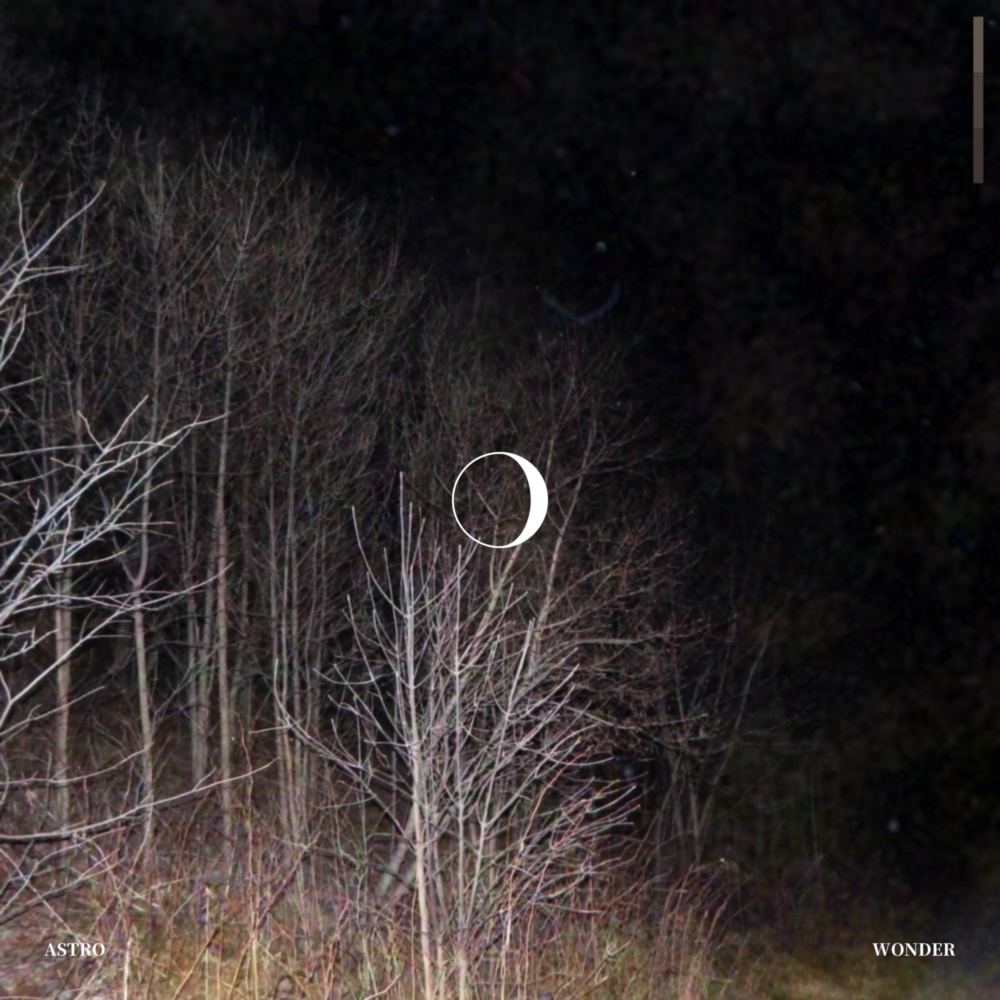A grainy photograph of trees without leaves at night, lit up by the camera’s flash. A graphic of a waxing crescent moon is in the center.